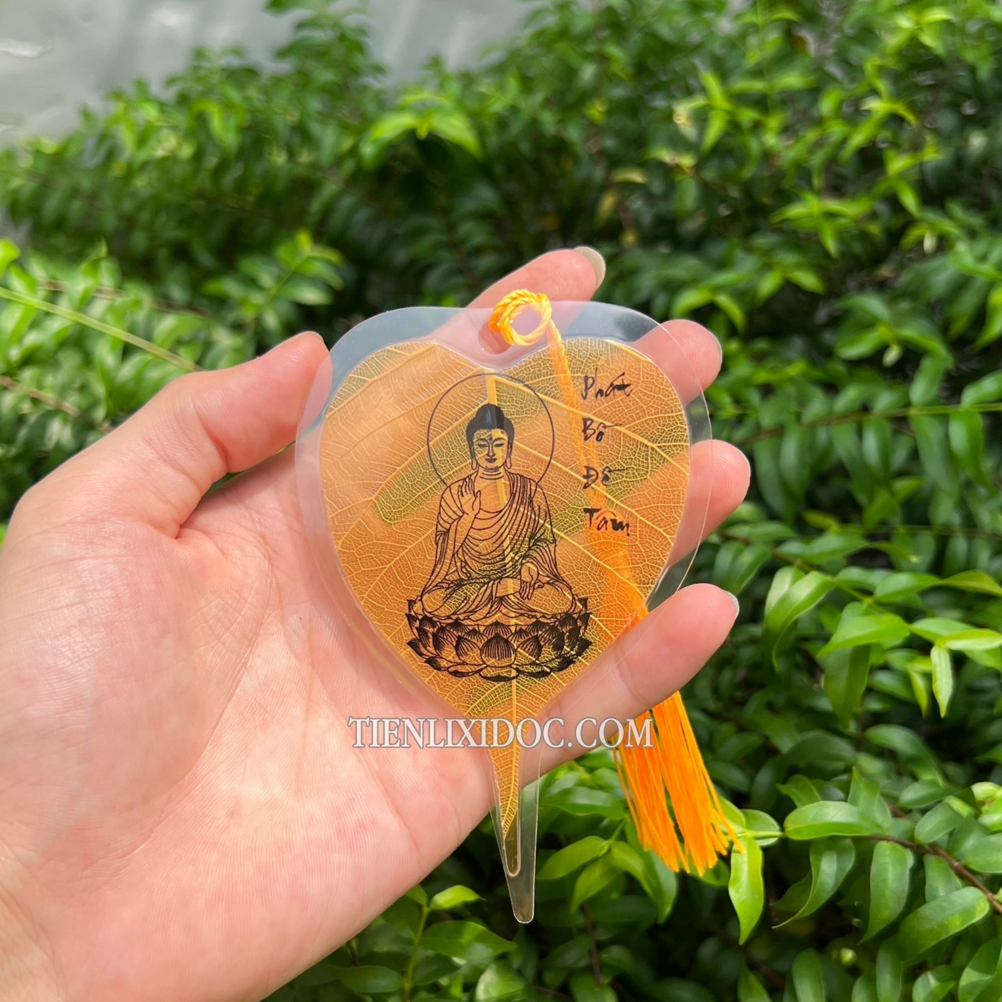 ảnh lá bồ đề tâm phật