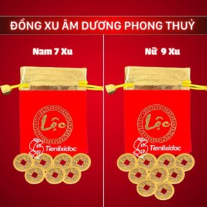 Combo-7-dong-xu-am-duong-cho-nam-va-9-dong-xu-cho-nu
