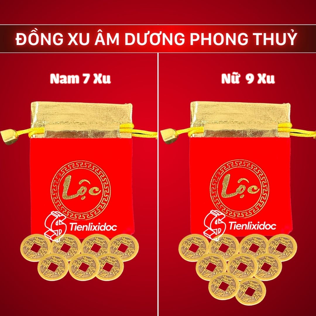 Combo-7-dong-xu-am-duong-cho-nam-va-9-dong-xu-cho-nu