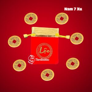 Combo 7 Xu Cho Nam Thu Hút Tài lộc Vượng Khí