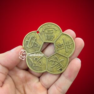 Mặt Trước Đồng Xu Hoa Mai Kim Tiền