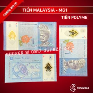 combo-100-to-tien-malaysia-1-ringgit-polymer-gia-si