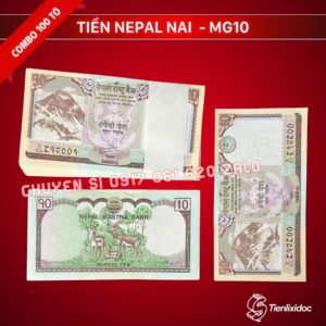 combo-100-to-tien-nepal-10-rupees-hinh-nai-gia-si