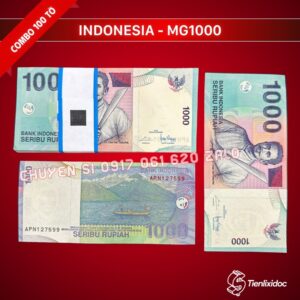 combo-100-to-tien-indonesia-1000-rupiah-gia-si