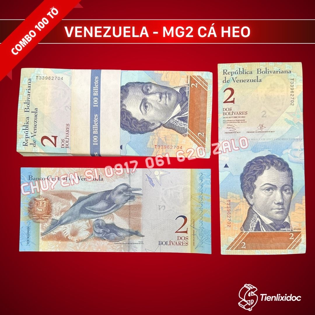combo-100-to-tien-venezuela-2-bolivares-hinh-ca-heo-gia-si