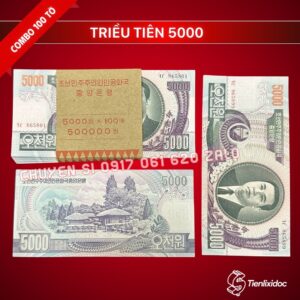 combo-100-to-tien-trieu-tien-5000-won-gia-si